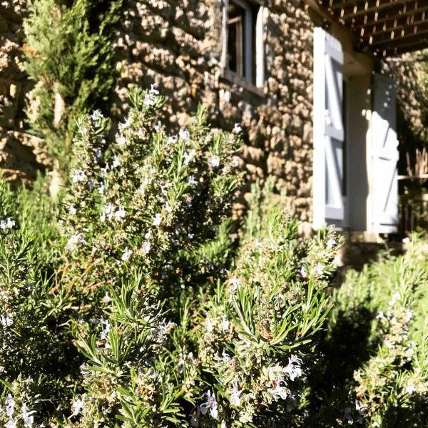 Domaine de Capiès © DR