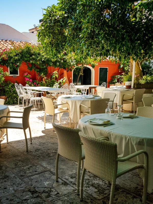 Es moli de foc © Pebblesdastraycat Es moli de foc © Pebblesdastraycat