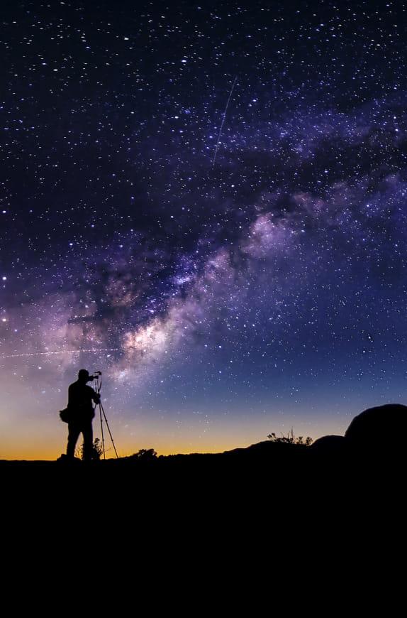 Balade entre chiens et loups © DR Balade entre chiens et loups © DR