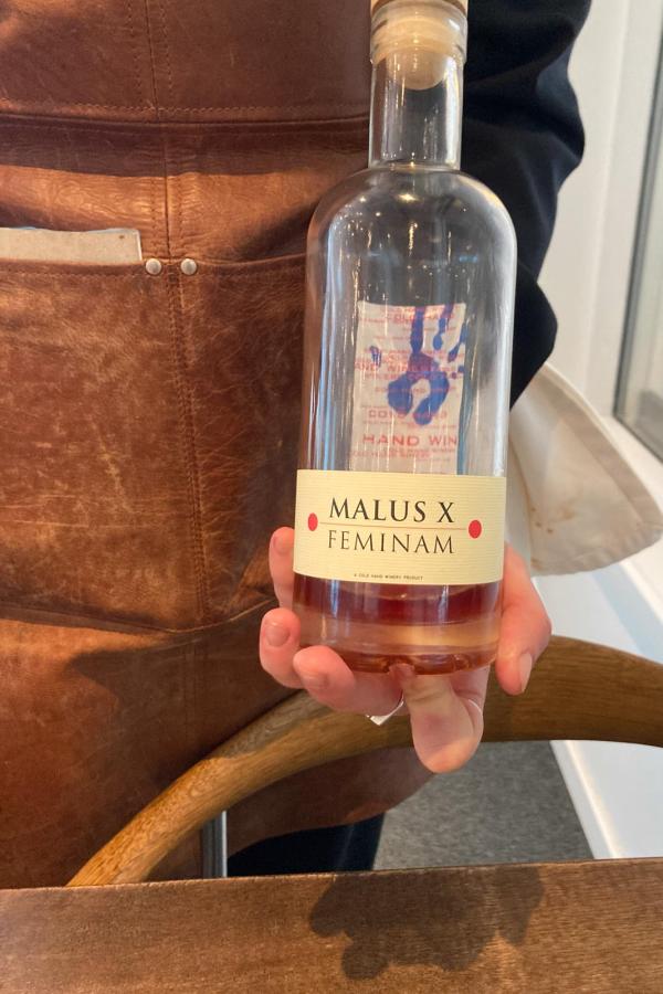 Hôtel Icefiord © DB Hôtel Icefiord © DB