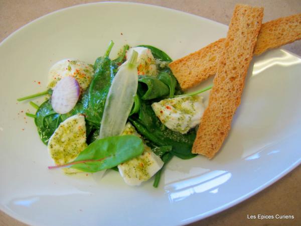 Mozzarella de bufflonne bio de Neufchâteau et pousses d’épinards - huile origan/citron confit - focaccia © Les Epices Curiens (Facebook) Mozzarella de bufflonne bio de Neufchâteau et pousses d’épinards - huile origan/citron confit - focaccia © Les Epices Curiens (Facebook)