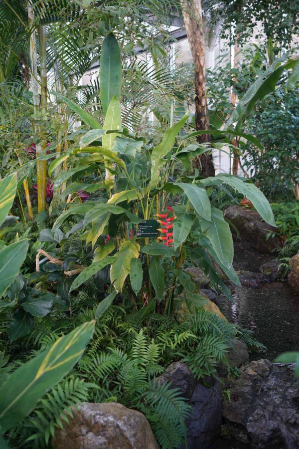 Les serres du jardin botanique de Kobe © DR