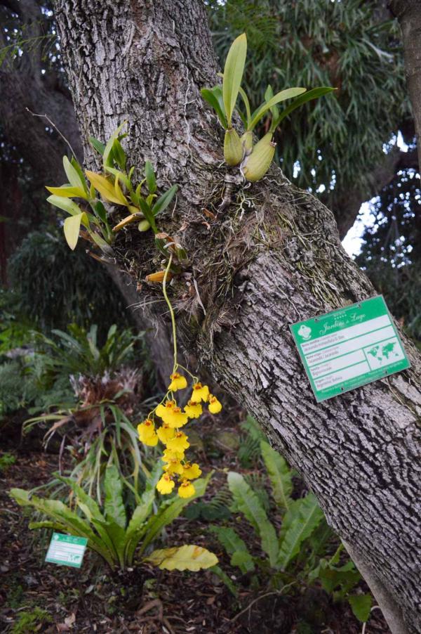 Quinta Jardins do Lago © Pierre Gunther Quinta Jardins do Lago © Pierre Gunther