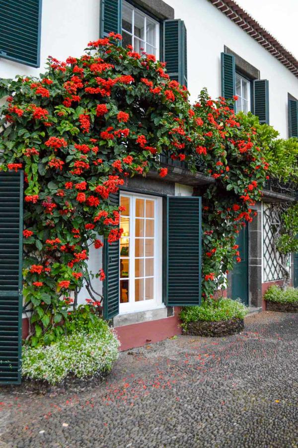 Quinta Jardim do Lago © PGunther Quinta Jardim do Lago © PGunther