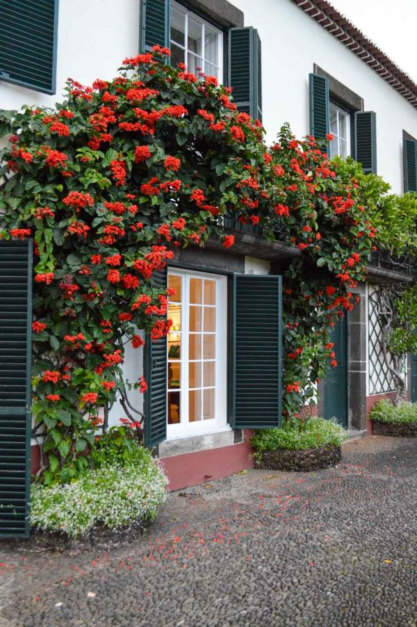 Quinta Jardins do Lago © Pierre Gunther Quinta Jardins do Lago © Pierre Gunther