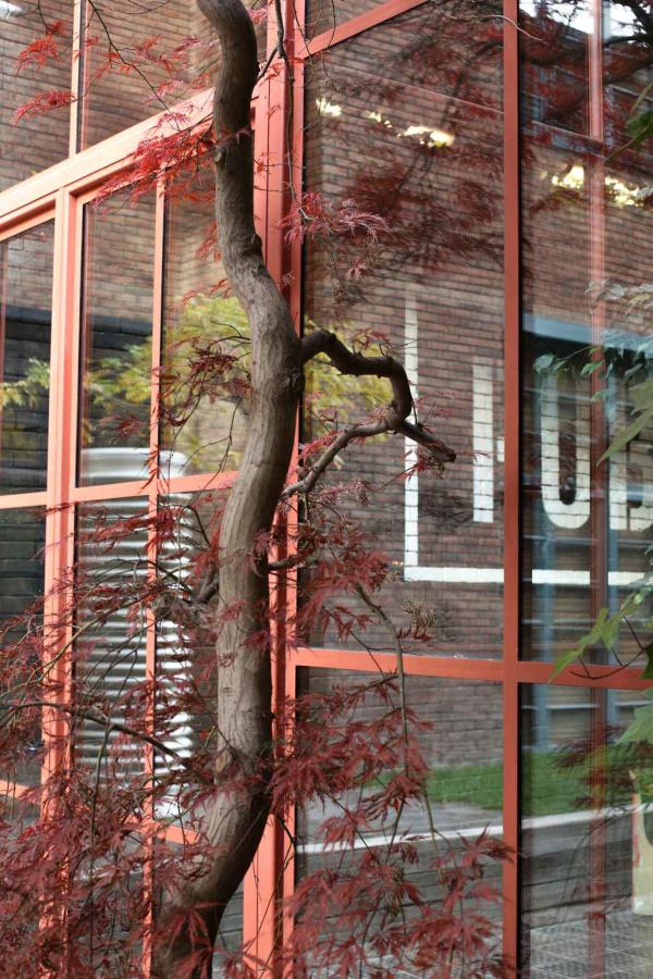 Stamba — Cours © DR Stamba — Cours © DR