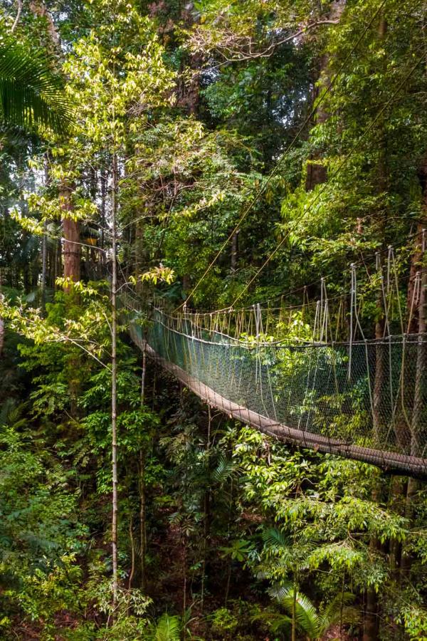 Tama Negara Canopy Walkway © AdobeStock - HAB Photography Tama Negara Canopy Walkway © AdobeStock - HAB Photography
