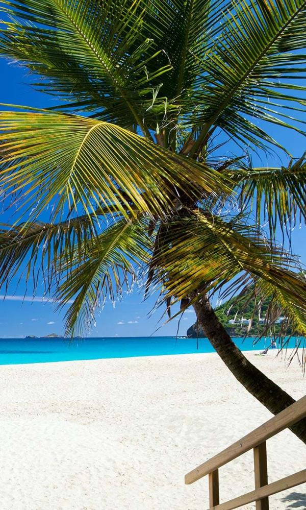 Une croisière dans les Caraïbes à Saint-Barthélémy © Catlante Une croisière dans les Caraïbes à Saint-Barthélémy © Catlante