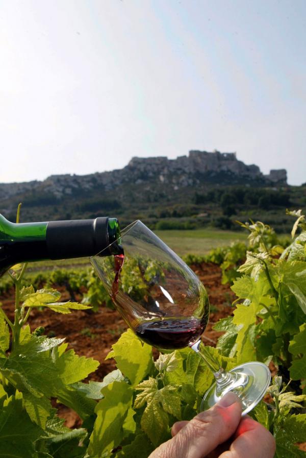 Dégustation dans les vignes des Alpilles © DR Dégustation dans les vignes des Alpilles © DR