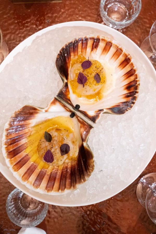 Vive © Antoine Marceau Vive © Antoine Marceau