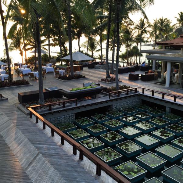 Le deck au coucher de soleil | © Yonder.fr Le deck au coucher de soleil | © Yonder.fr