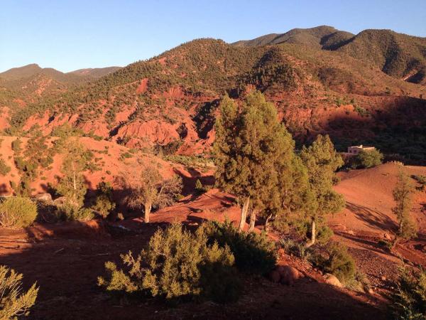 Depuis une chambre, vue sur le parc Isk-N-Tanoumiri surnommé Colorado par le propriétaire Stephen Skinner | © Yonder