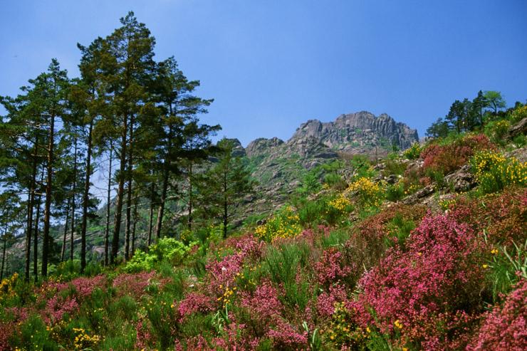 Les 10 parcs naturels à voir en Europe - Parc National de Peneda Gerês, Portugal