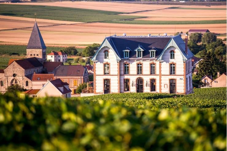 Château de Sacy © Michäel Boudot