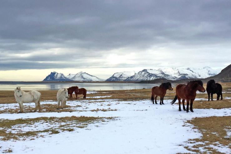 Islande : Six Senses ouvrira un hôtel de luxe en pleine nature, sur la côte sud-est, en 2022