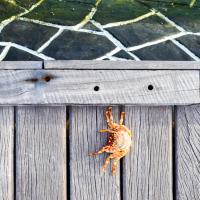 Sur l’un des nombreux pontons du Constance Halaveli © Yonder.fr Sur l'un des nombreux pontons du Constance Halaveli © Yonder.fr