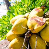 Fruits exotiques © Yonder.fr Fruits exotiques © Yonder.fr