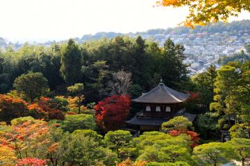 Pavillon d’Argent | © Aurélie Morin Pavillon d'Argent | © Aurélie Morin