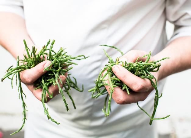 Si vous êtes un amateur de bonne chère, n’hésitez plus un instant et filez en Flandre ! Les meilleures frites du monde, la plus grande concentration de tables étoilées au monde, des restos ultra innovants et une nouvelle génération de chefs prêts à renverser la table, il y a tout ce qu’il faut pour se régaler.
