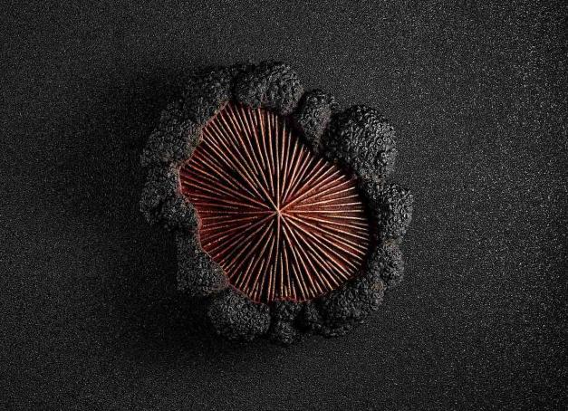 Notes de fruits secs, inspirations chocolatées, courbes design, thés grands crus ou encore truffe… Les pâtissiers-stars ont rivalisé d'imagination pour ces fêtes de fin d'année. Retour en enfance garanti avec ces bûches de grands chefs dont s'est délectée la rédaction de YONDER.